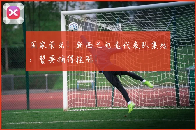 国家荣光！新西兰电竞代表队集结，誓要摘得桂冠！